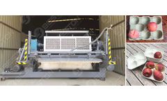 Beston - Model BTF4 - Apple Tray Making Machine