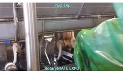 Model The Rotarymate Expd - Postdip Automation
