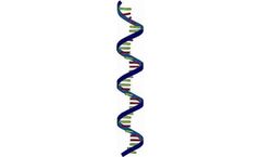 G-Biosciences - Model Arrest™ - Extraction Buffer