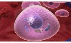 Laser Treatment Education - Berman Medical Lasers- Video