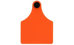 Allflex - Model F4 - Maxi Female Cattle Tag
