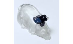 Amuza - Wireless Optogenetics for Freely Moving Animals