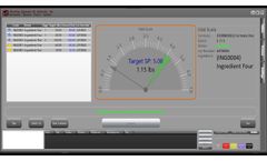 Semi-Automatic Hand Prompt Batching System - Video