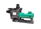 Natural Current SunRay - 1HP Solar Pool Pump - Solar Variable Speed Pool Pump Only
