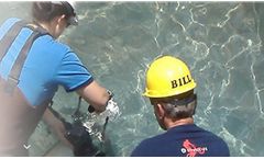 Wastewater Aeration for Contractors