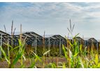 ZIM Agri - Model EW - Agri-PV System