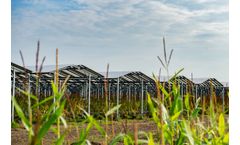 ZIM Agri - Model EW - Agri-PV System