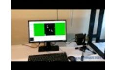 ProcImage500-Eagle counting in real time - Video