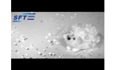 Fall of stars on the hedgehog - Video