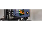 Timebow Imaging