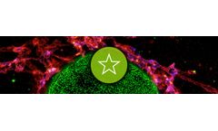 Star Dyes