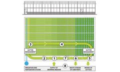 Automated Baby Leaf Lettuce Growing System