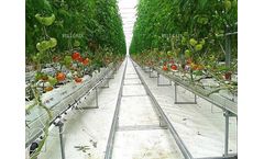 Steel Guttering For Greenhouse Crops