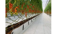 Cultivation Troughs