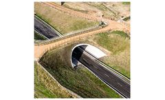 asset - BEBO Green Bridge