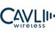 Cavli Inc.