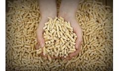 Jaipur - 6mm Biomass Pellet