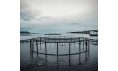 OptoScale - Seamless and Integrated Solution for Fish Farming