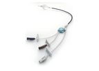 Angel - Inferior Vena Vava Filter and Central Venous Catheter System