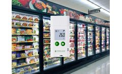 Low temperature data logger for frozen food storage