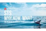 Why, how, what STS Medical Group: our Vision. - Video