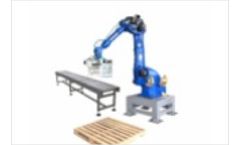 ITO - Palletizing/Depalletizing System