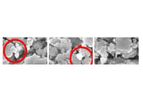 HTCycle - Cleanphos Dissolves Phosphorus From Biomass