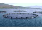 Classic Fry Farming System