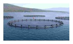 Classic Fry Farming System