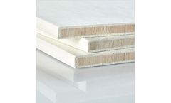 Avient CRTM - Composite Sandwich Panels