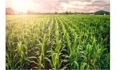Biomass Briquettes and Pellets for Crop Processing
