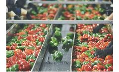 Biomass Briquettes and Pellets for Food Processing