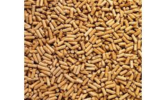 Infinium - Biomass Pellets