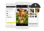 Snap Animal App