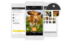 Snap Animal App