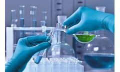 Chemical Process Development Service