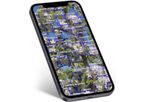 FruitScout - Smartphone App for Precision Crop Load Management