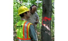 Asian Longhorned Beetle Sensor