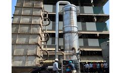 Taylormade TRL-RAIN - 50 KLD Plant