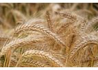 fieldmargin - Farming Software for Crops