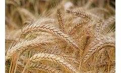 fieldmargin - Farming Software for Crops