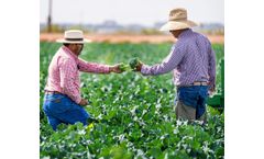 fieldmargin - Farming Software for Horticulture