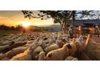 fieldmargin - Farming Software For Livestock