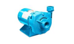 Barmesa - Model IC1¼ series - End-Suction Centrifugal Close Coupled