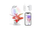 Diivoo - Bluetooth LED Growing Lamp For Small Herb Garden