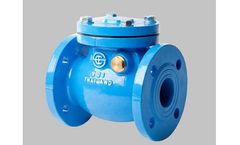 SCI - Swing Check Valve