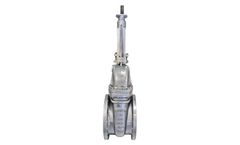 Warren Valve - Cast Carbon Steel Wedge Gate Valves