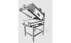 Roller Brushing Machine for Mussels and Oysters