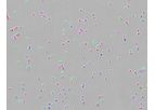 ParticleTech - Fermentation Analyzer