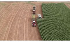 Final Corn Silage Harvest of 2019 | Packing and Covering Bunker Silos - Video